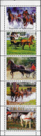 Somaliland 1998. Émission Privée Fantaisiste (Cendrillon). Cheval Attelé, Bloc De 5 Vignettes - Reitsport