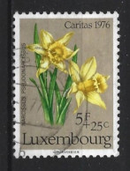 Luxemburg 1976 Flowers  Y.T. 887 (0) - Gebruikt