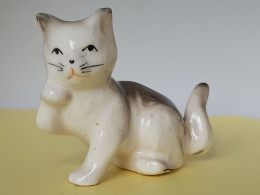 MINIATURE  -  "ANIMAUX" -   CHAT BLANC ET GRIS,  CREUX   -PATTE LEVEE -  H ;  5.5 Cm - Largeur  3 Cm  -  Poids  40  Gr - Dieren