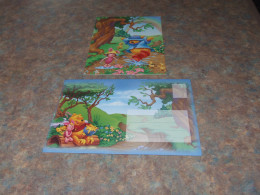 75430-         CARD WITH ENVELOPE, DISNEY, WINNIE THE POOH - Disneyworld