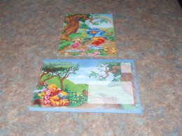 75431-         CARD WITH ENVELOPE, DISNEY, WINNIE THE POOH - Disneyworld