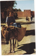 Maroc - Taroudant - Petit Anier # 6-19/12 - Andere & Zonder Classificatie