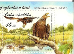 ** 565 Czech Republic Trebonsko - Eagle 2008 Goose Oak - Eagles & Birds Of Prey