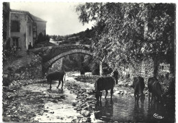 BLESLE - Le Pont Du Bourg Neuf - Blesle