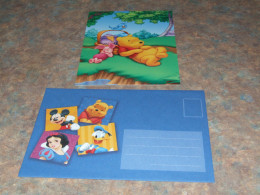 75434-         CARD WITH ENVELOPE, DISNEY, WINNIE THE POOH - Disneyworld