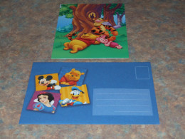 75435-         CARD WITH ENVELOPE, DISNEY, WINNIE THE POOH - Disneyworld