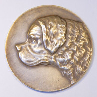 Médaille_bronze_saint-bernard_ Kennel Club Belge - Sonstige & Ohne Zuordnung