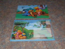 75436-         CARD WITH ENVELOPE, DISNEY, WINNIE THE POOH - Disneyworld