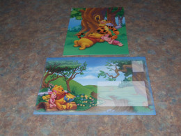 75437-         CARD WITH ENVELOPE, DISNEY, WINNIE THE POOH - Disneyworld