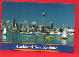 18728  AUCKLAND  NEW ZEALAND     (2 Scans )  Nouvelle Zélande - Neuseeland