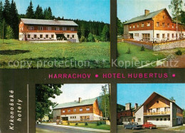 73513339 Harrachsdorf Harrachov Hotel Hubertus Harrachsdorf Harrachov - Tchéquie