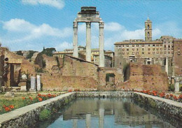 AK 216876 ITALY - Roma - Foro Romano - Laghetto Nella Casa Delle Vestali - Piazze