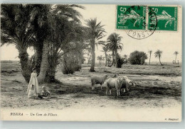 39632907 - Biskra - Autres & Non Classés