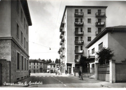 SENAGO (MILANO) VIA GIUSEPPE GARIBALDI - ED.CANEDI - VG FG - C0381 - Milano