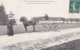 Chasses De Chambord (41 Loir Et Cher) La Saint Hubert Le Cerf Ramené Après L'Hallali - Garde Chasse, Attelage - Vannier - Chambord