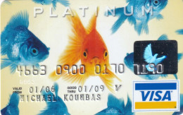 USA - Fish, HSBC Platinum Visa, 07/05, Used - Cartes De Crédit (expiration Min. 10 Ans)