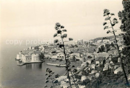 73512403 Dubrovnik Ragusa Panorama Dubrovnik Ragusa - Kroatien