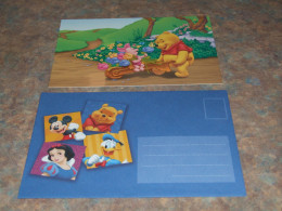 75441-         CARD WITH ENVELOPE, DISNEY, WINNIE THE POOH - Disneyworld