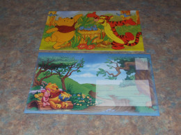 75442-         CARD WITH ENVELOPE, DISNEY, WINNIE THE POOH - Disneyworld