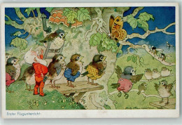 13937607 - Erster Flugunterricht Tiere Vermenschlicht , Zwerg , Schmetterling Serie 1510/1  Oppel & Hess - Baumgarten, F.