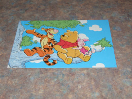 75443-          DISNEY, WINNIE THE POOH - Disneyworld