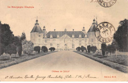 Château De SULLY - Très Bon état - Sully Sur Loire