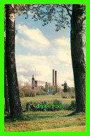KAPUSKASING, ONTARIO - THE SENTINELS ALONG THE KAP BOWLING GREEN - SPRUCE FALL PAPER MILL - TRAVEL IN 1958 - - Andere & Zonder Classificatie
