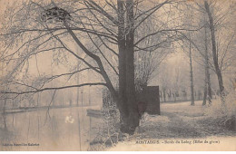 MONTARGIS - Bords Du Loing - Effet De Givre - Très Bon état - Montargis