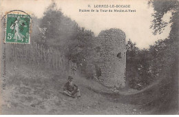 LORREZ LE BOCAGE - Ruines De La Tour Du Moulin à Vent - Très Bon état - Lorrez Le Bocage Preaux