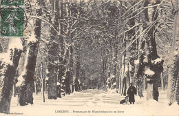 LANGRES - Promenade De Blanchefontaine En Hiver - Très Bon état - Langres