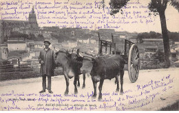 BAZAS - Attelage De Boeufs - Très Bon état - Bazas