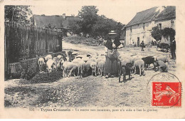 Types Creusois - Moutons - Très Bon état - Otros & Sin Clasificación