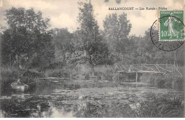 BALLANCOURT - Les Marais - Pêche - Très Bon état - Ballancourt Sur Essonne