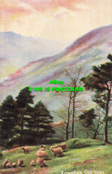 R610070 Coniston Old Man. English Lakes Series No. 5409. S. Hildesheimer - World