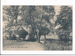 YERRES : Bords De L'yerres Dans La Prairie - Très Bon état - Yerres