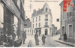 CHATEAUROUX - Place Aux Guédons - état - Chateauroux