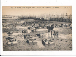 ARCACHON: Parc à Huitres Les Collecteurs La Récolte - Très Bon état - Arcachon