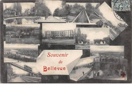 Souvenir De BELLEVUE - Très Bon état - Otros & Sin Clasificación