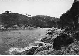 LES LECQUES SAINT CYR SUR MER - Le Port D'Alon - Très Bon état - Les Lecques