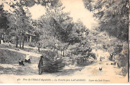 Pins De L'Hôtel D'Aiguebelle - La Fossette Près LAVANDOU - Ligneu Du Sud France - Très Bon état - Le Lavandou