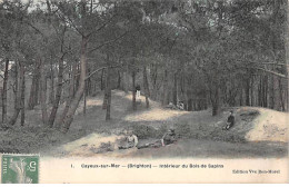 CAYEUX SUR MER - Intérieur Du Bois De Sapins - Très Bon état - Cayeux Sur Mer