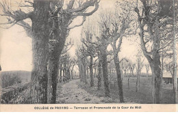 Collège De PROVINS - Terrasse Et Promenade De La Cour Du Midi - Très Bon état - Provins