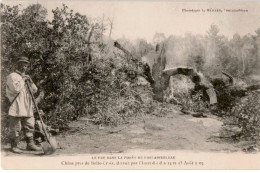 FONTAINEBLEAU: Le Feu Dans La Forêt De Fontainebleau Chêne Près De Belle-croix Détruit Par L'incendie - Très Bon état - Fontainebleau