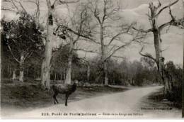 FONTAINEBLEAU: Route De La Gorge Aux Néfliers - Très Bon état - Fontainebleau