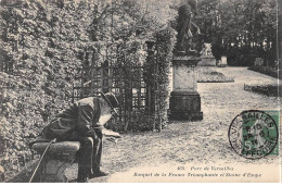 Parc De VERSAILLES - Bosquet De La France Triomphante Et Statue D'Esope - Très Bon état - Versailles