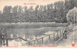 Bois De CHAVILLE - L'Etang De Brise Miche - Vue Artistique - Très Bon état - Chaville