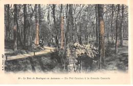 Le Bois De BOULOGNE En Automne - Du Pré Catelan à La Grande Cascade - Très Bon état - Boulogne Billancourt
