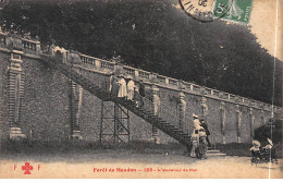 Forêt De MEUDON - L'Escalier De Fer - Très Bon état - Meudon