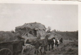 Foto Deutsche Soldaten Mit Fuhrwerk Auf Dem Marsch Von Sseredina Buda N Scharowo - 1943 - 8*5cm  (69155) - Guerre, Militaire