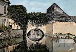 VENDOME  L'Arche Des Grands Prés Ancienne Porte D'eau Du XVe S  Et Le Loir   29 (scan Recto Verso)MG2891 - Vendome
